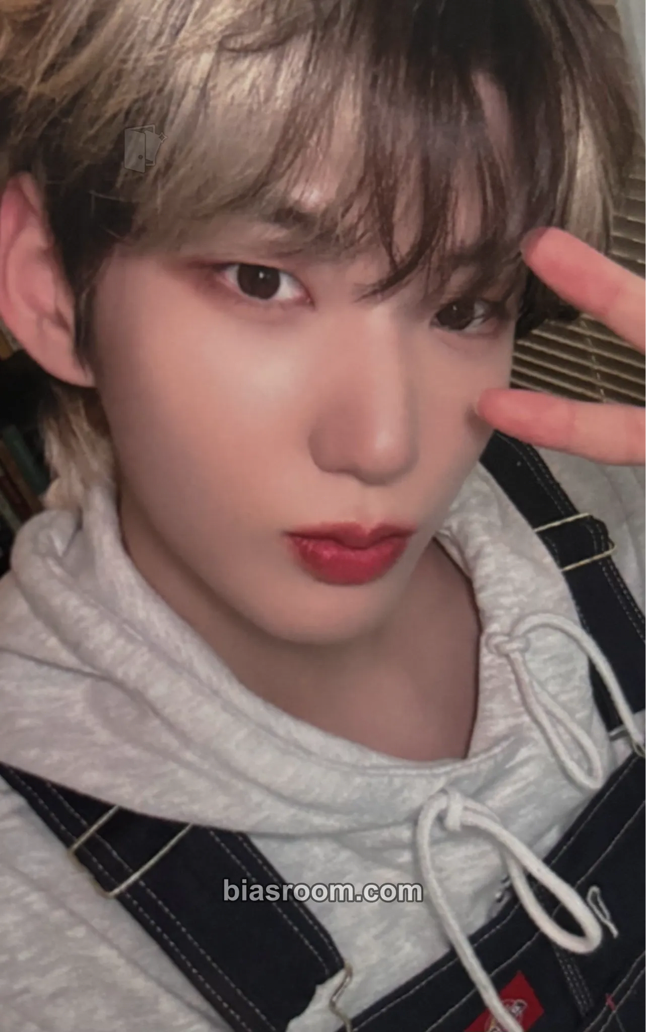 Hwon Season's Greetings 2025 Photocard - The KingDom - The KingDom K-pop photocard