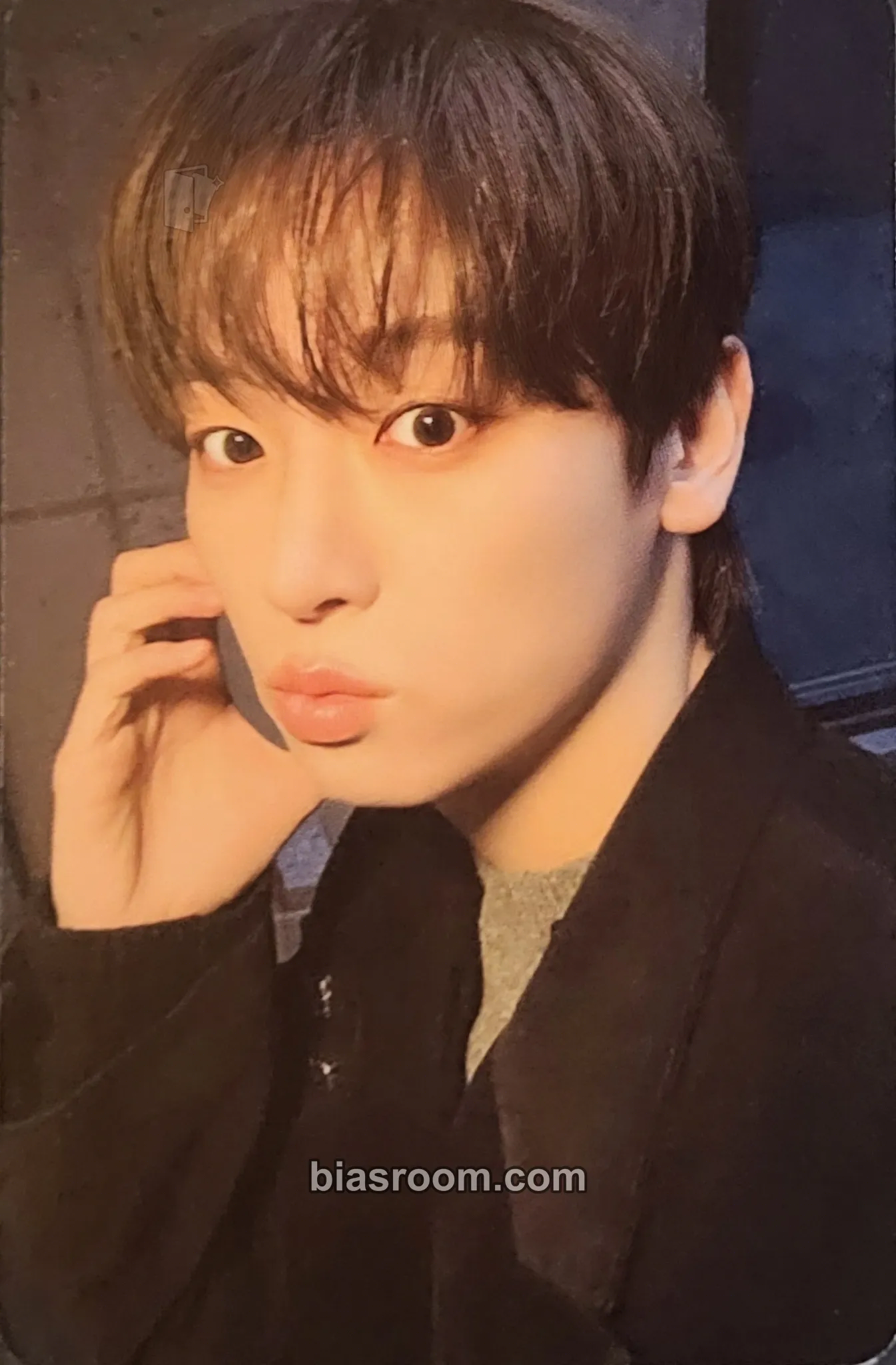 Inseong About Love Photocard - SF9 - SF9 K-pop photocard