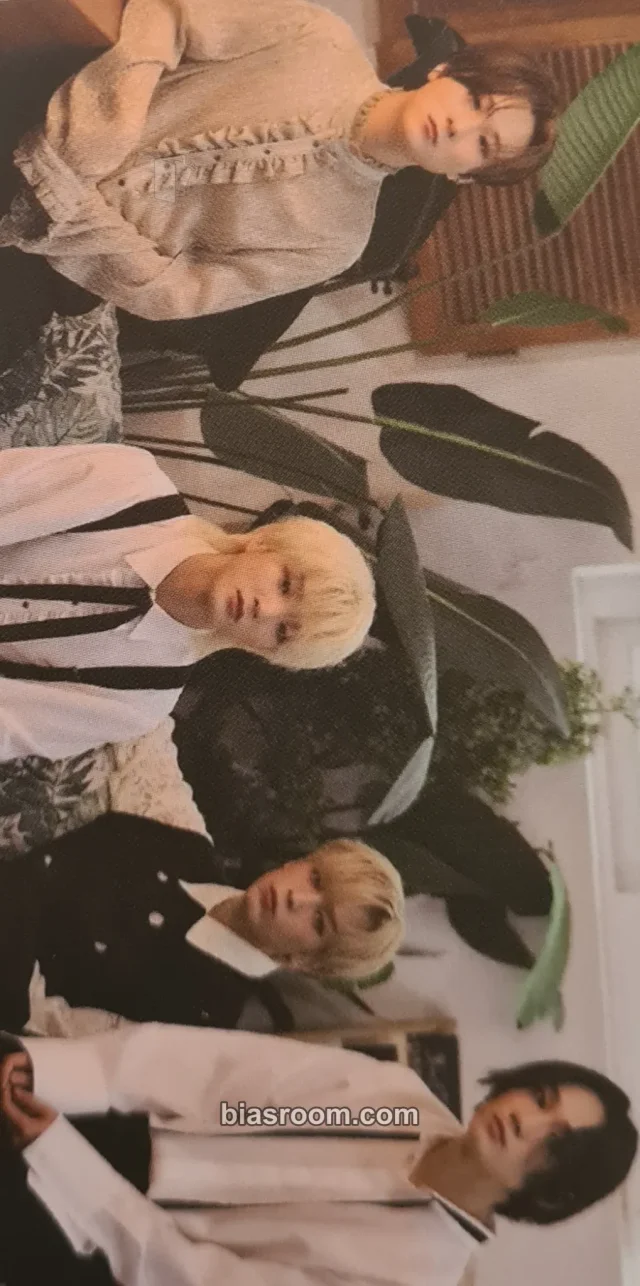 W24 - The white album Album album photocard