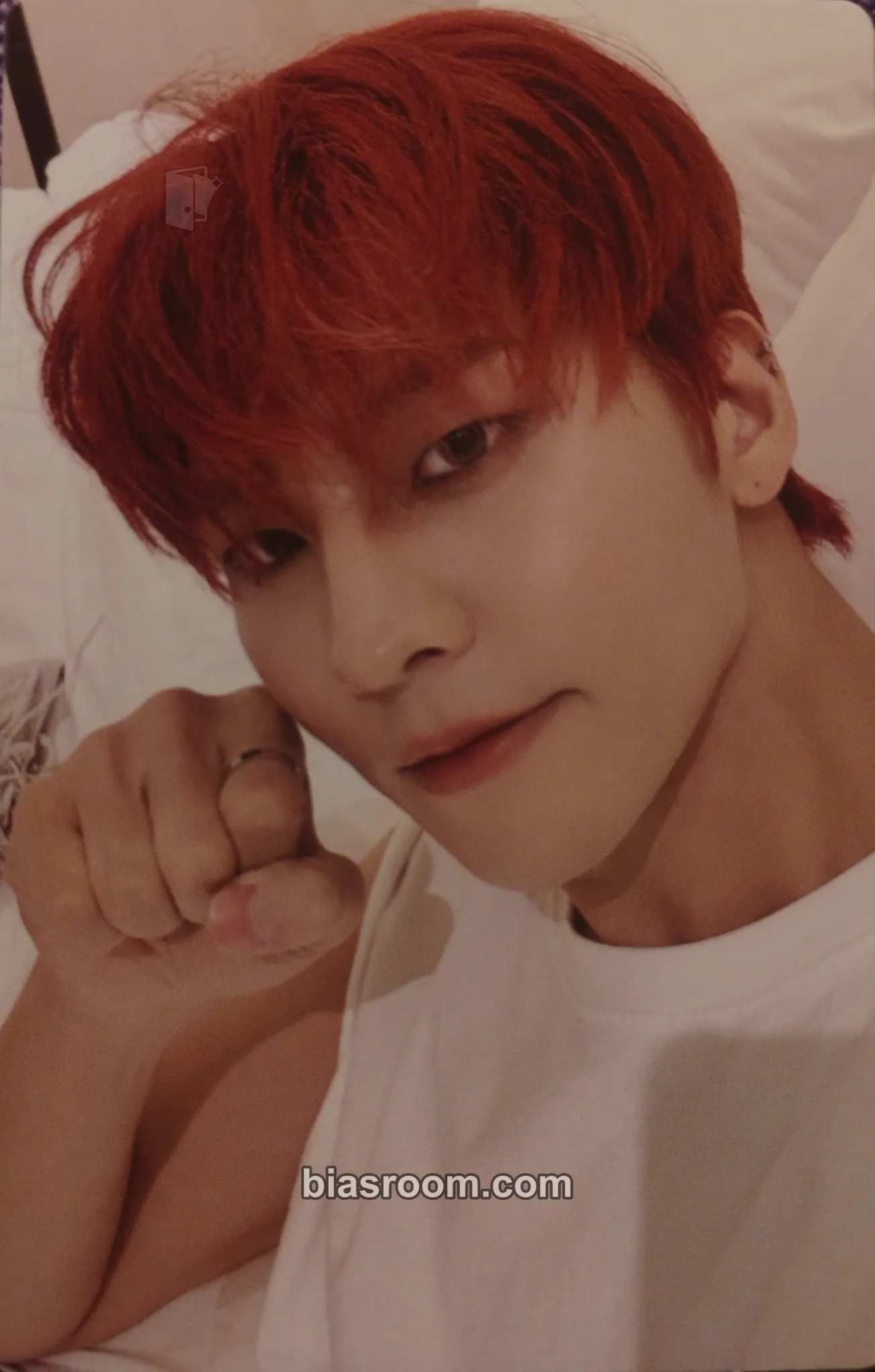 Gon Burn Photocard - VANNER - VANNER K-pop photocard