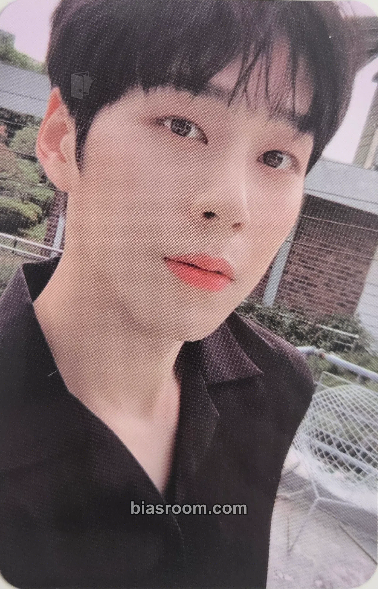 Dongwon KNK S/S COLLECTION Photocard - KNK - KNK K-pop photocard
