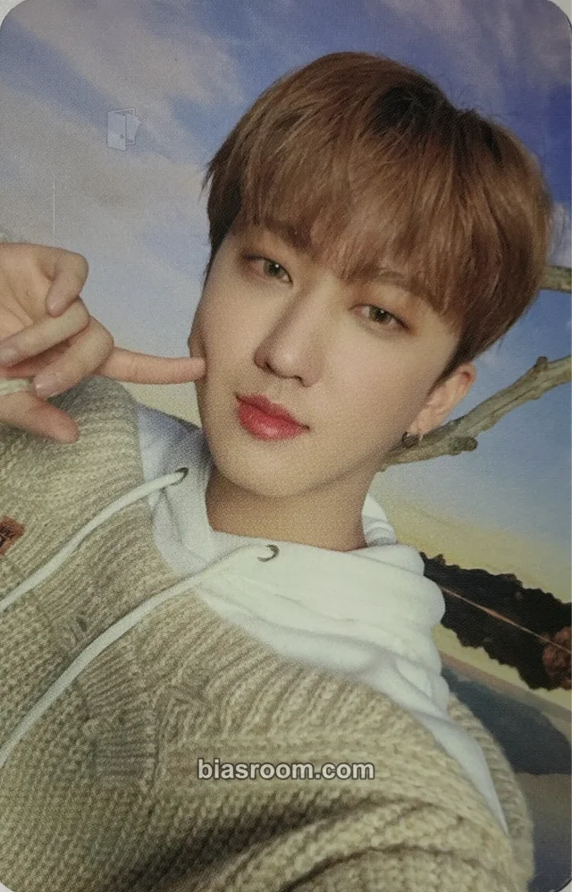 Stray Kids - Changbin - DICON D’FESTA Dispatch 10th Anniversary Other dicon photocard set