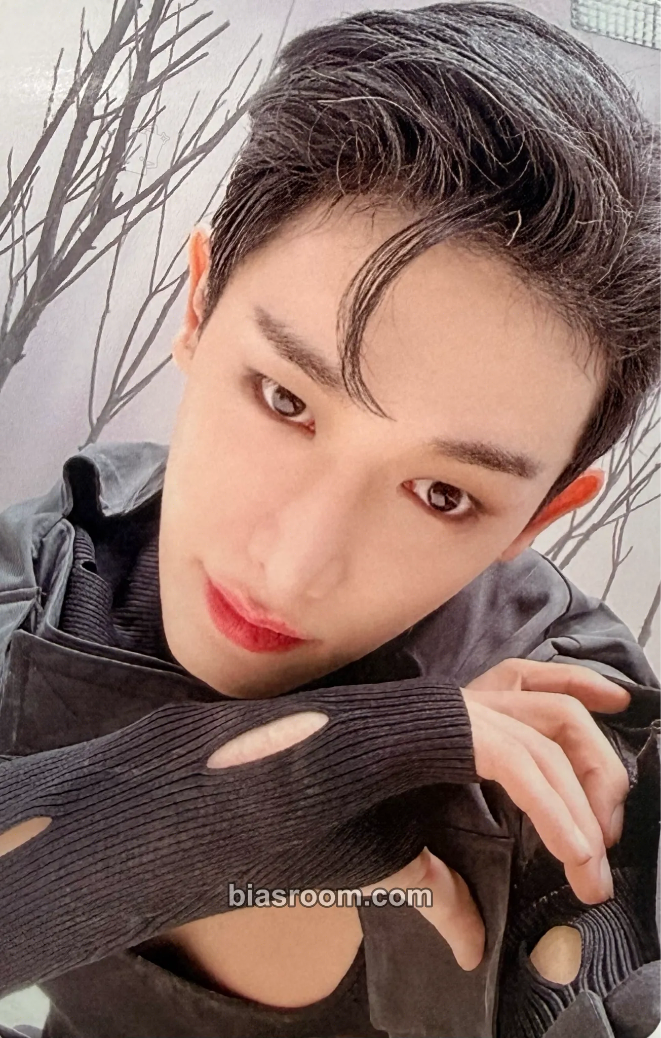 Wonho Obsession Photocard - Wonho K-pop photocard