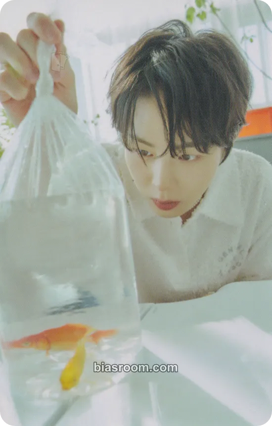 Ha Sung Woon Ha Sung Woon 23&24 Season’s Greetings ‘Just A Cloud Away’ Photocard - Ha Sung Woon K-pop photocard