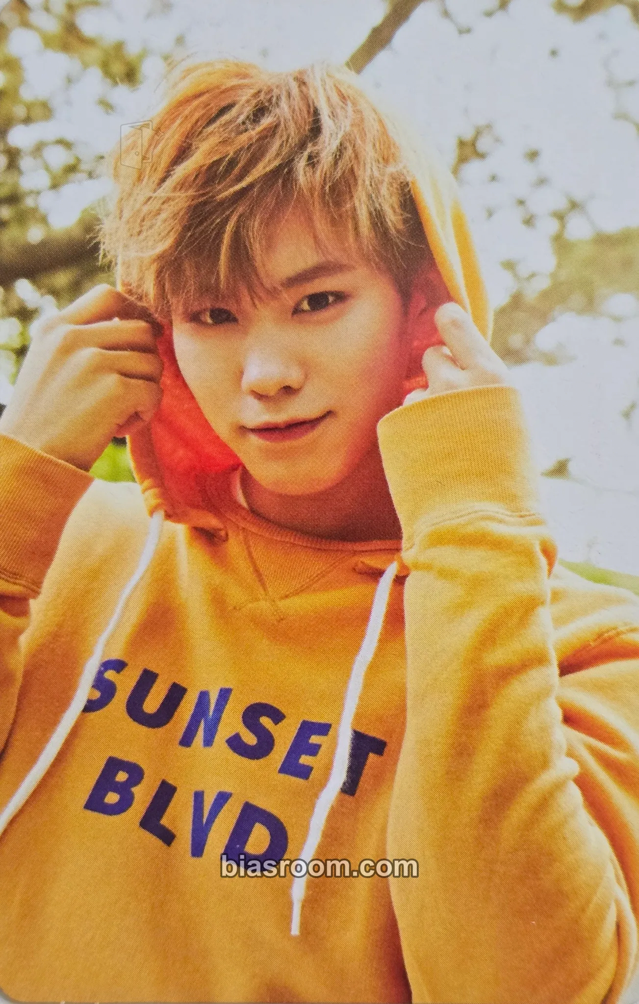 Rocky Autumn Story Photocard - ASTRO - ASTRO K-pop photocard