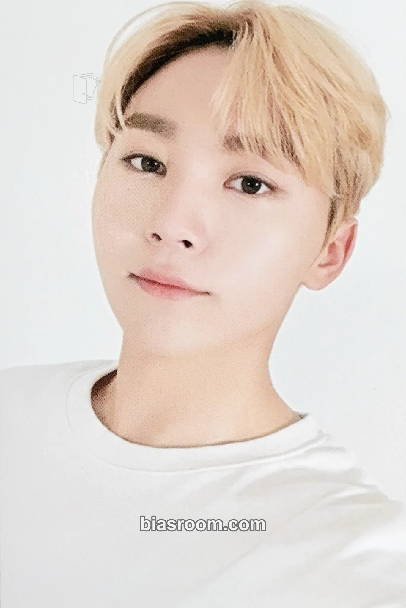 Seungkwan 'TOGETHER' 6TH Anniversary Merch Photocard - SEVENTEEN - SEVENTEEN K-pop photocard
