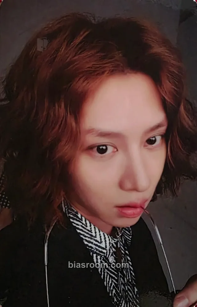 M&D - Heechul - Cottage Industry Album album photocard