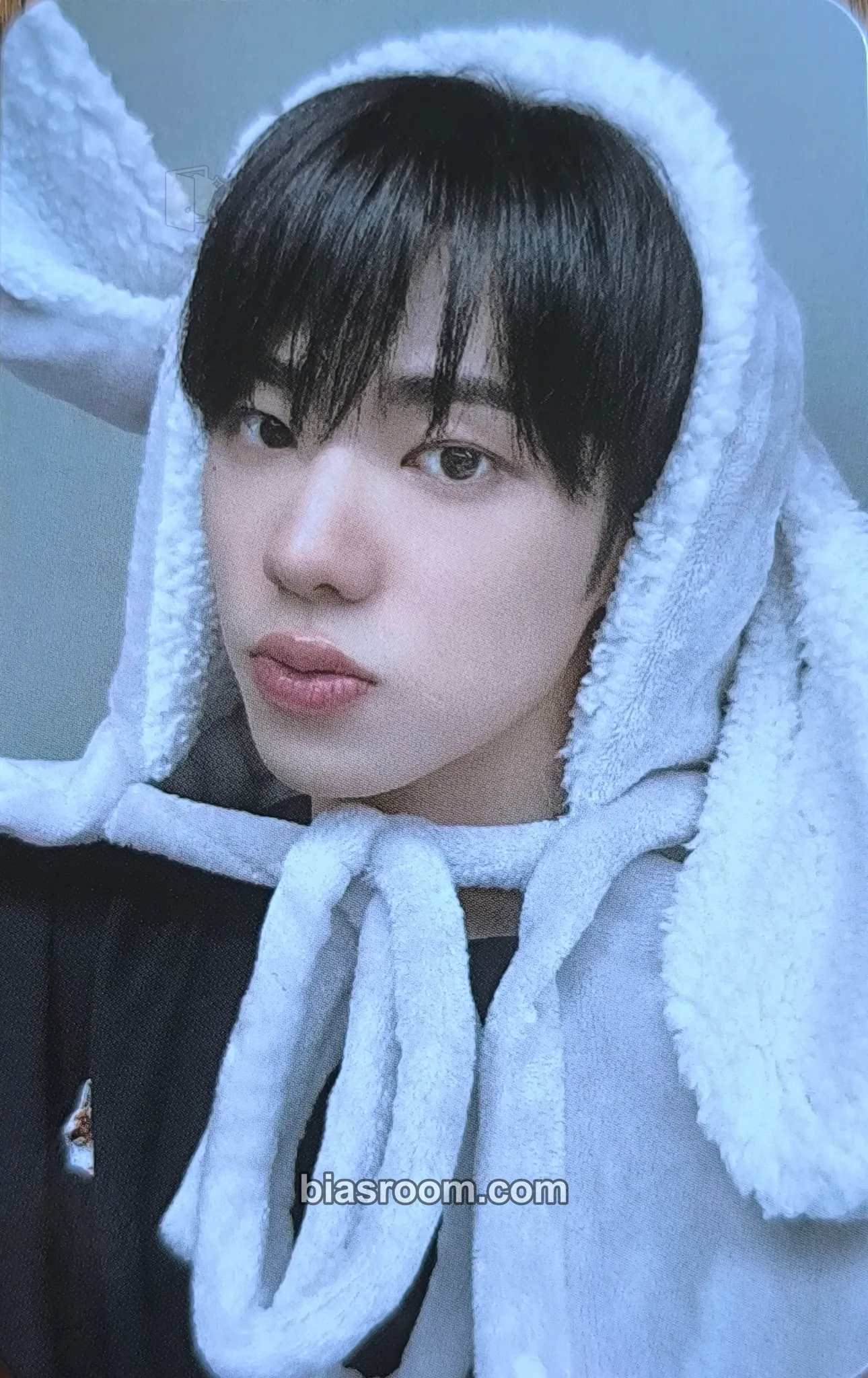 Kang Minseo NEW TOMORROW Photocard - FANTASY BOYS - FANTASY BOYS K-pop photocard