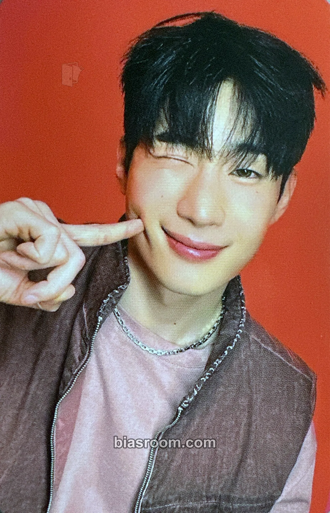 Seungwoo FRAME Photocard - VICTON - VICTON K-pop photocard