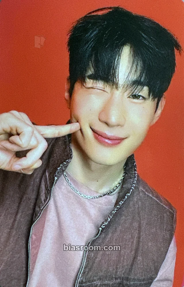VICTON - Seungwoo - FRAME Album album photocard