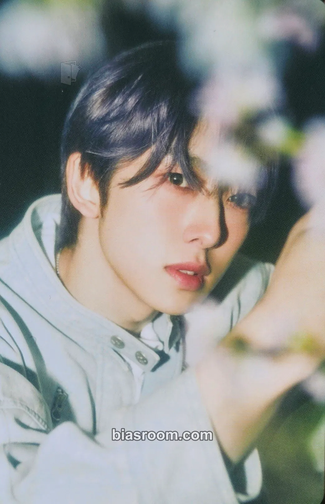 Fuma Samidare Photocard - &TEAM - &TEAM K-pop photocard