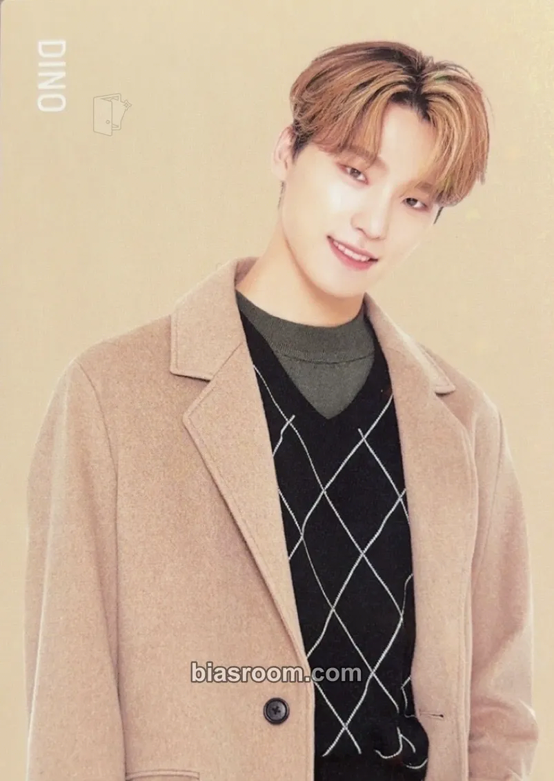 Dino 2020 Winter Goods Merchandise Photocard - SEVENTEEN - SEVENTEEN K-pop photocard