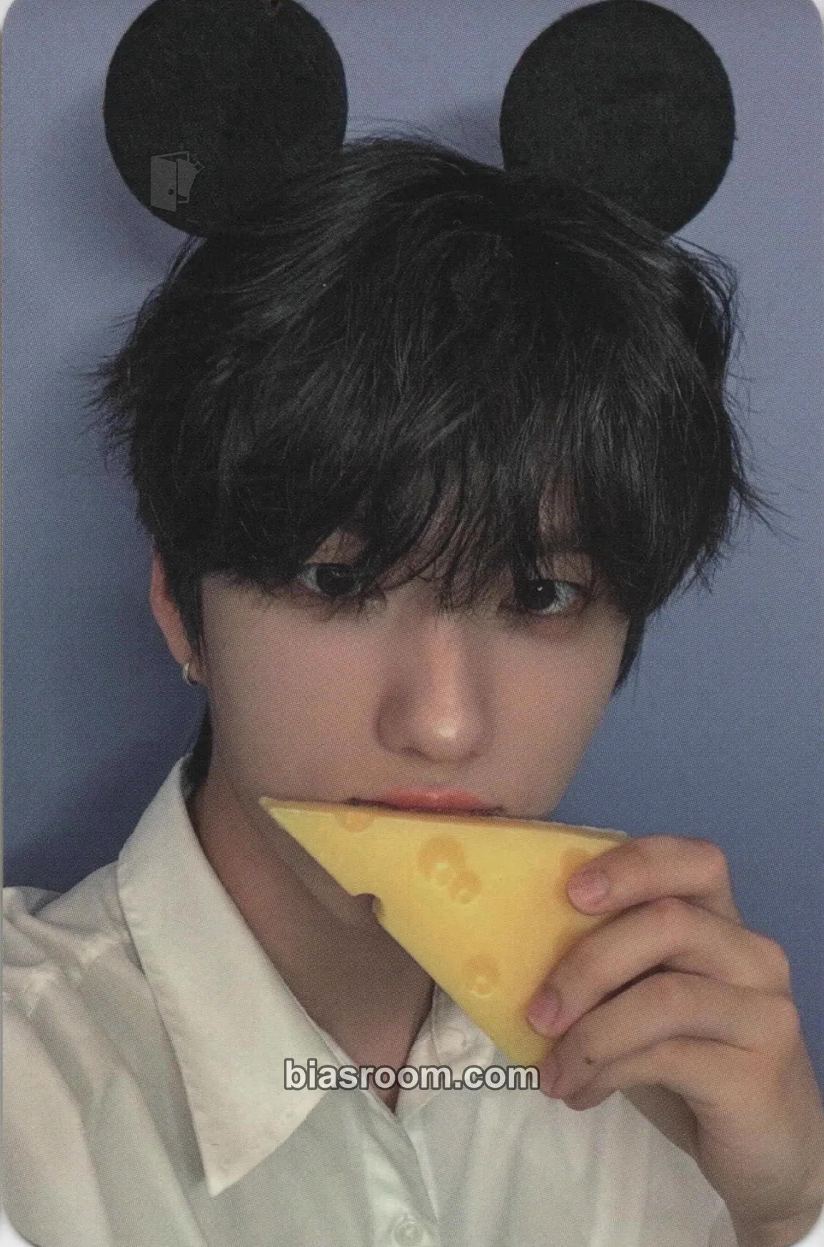 Hankook Chameleon Photocard - TRENDZ - TRENDZ K-pop photocard