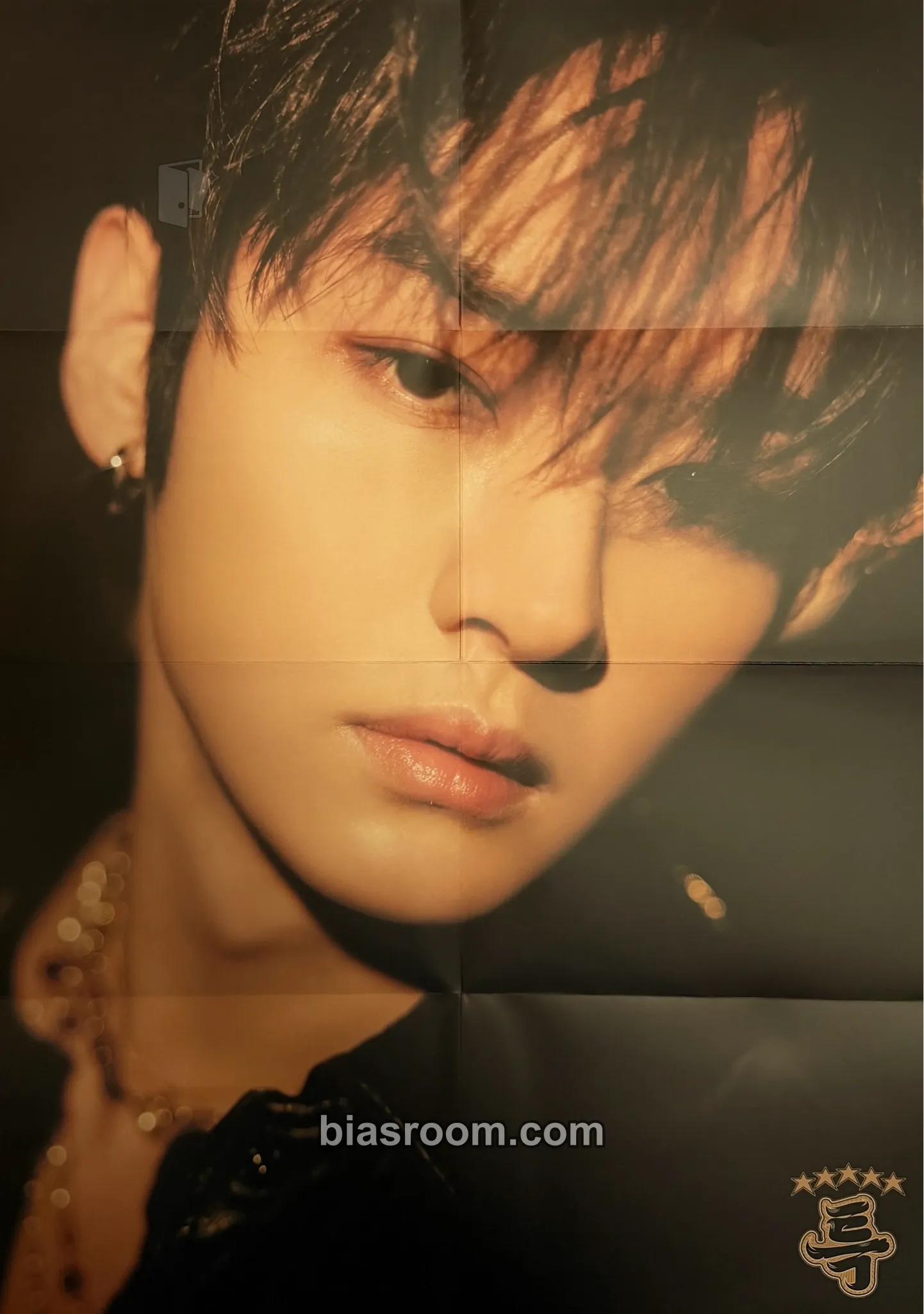 Lee Know 5-STAR Photocard - Stray Kids - Stray Kids K-pop photocard