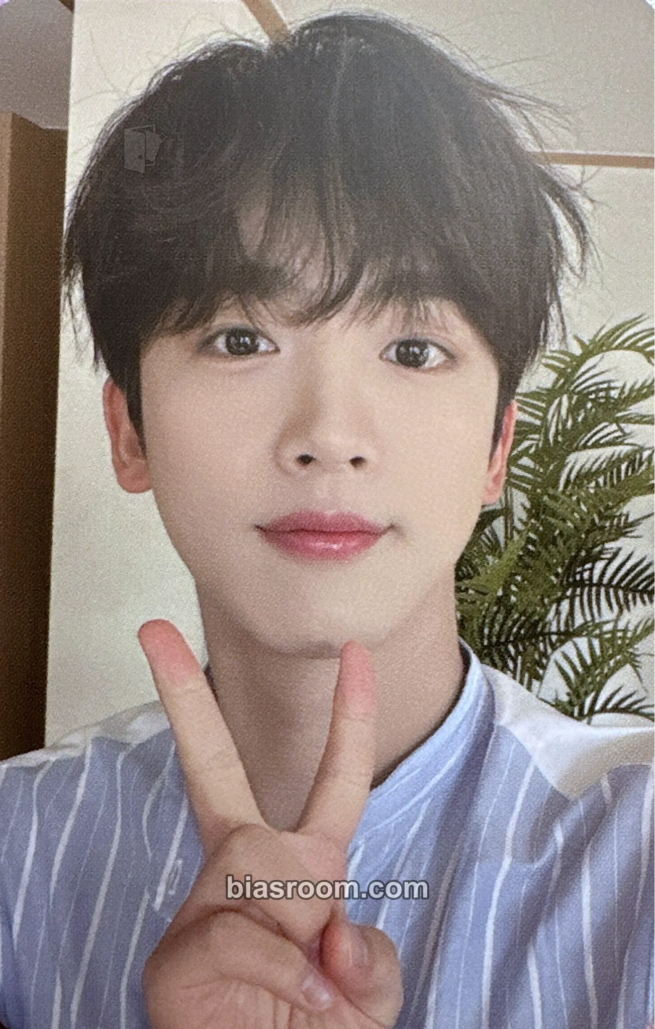Yohan 2022 Season's Greetings Photocard - WEi - WEi K-pop photocard