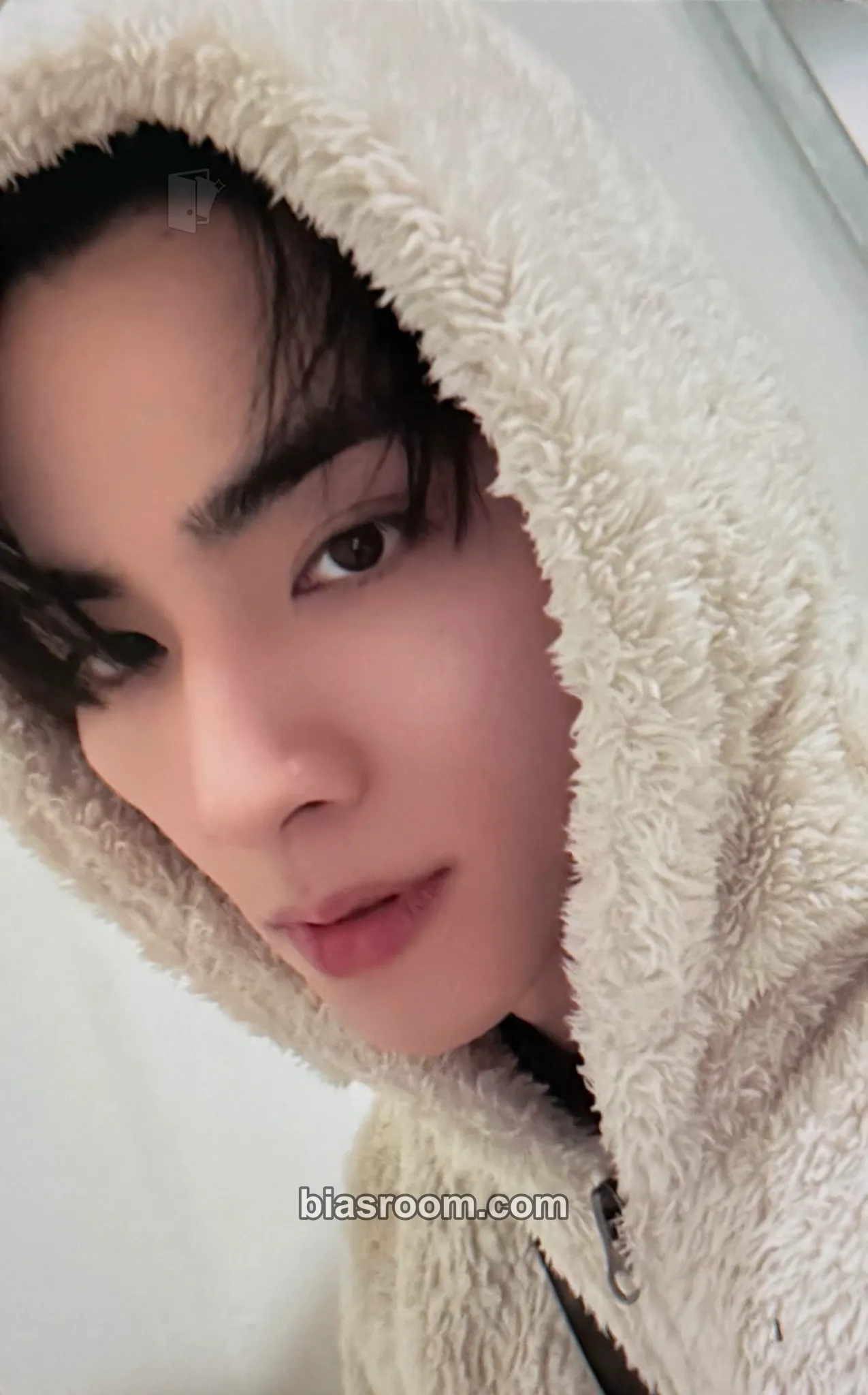 Xiaojun Frequency Photocard - WayV - WayV K-pop photocard