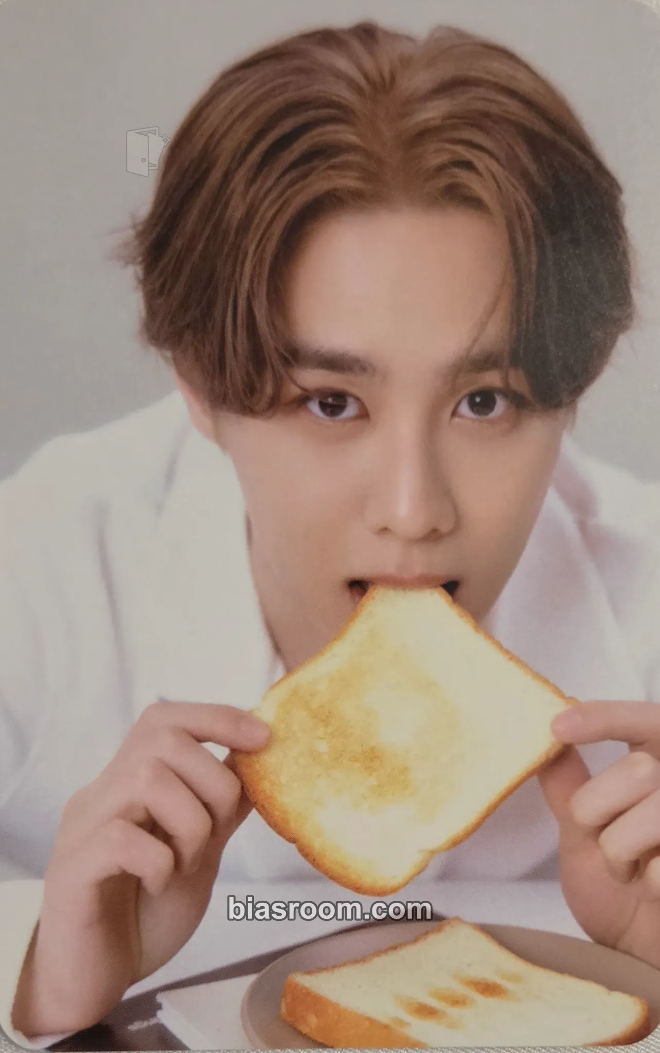 Kun 2024 Season's Greetings Photocard - WayV - WayV K-pop photocard