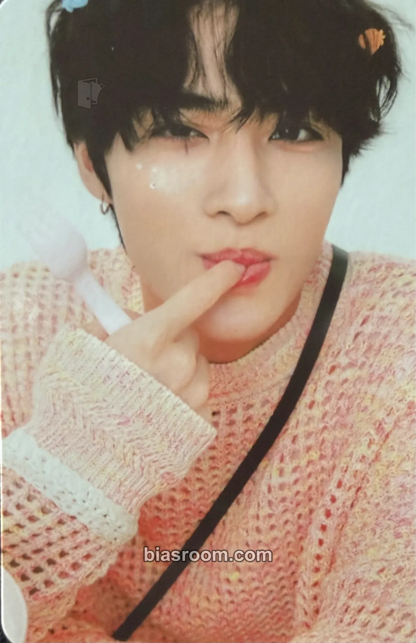 Xiaojun 2024 Season's Greetings Photocard - WayV - WayV K-pop photocard
