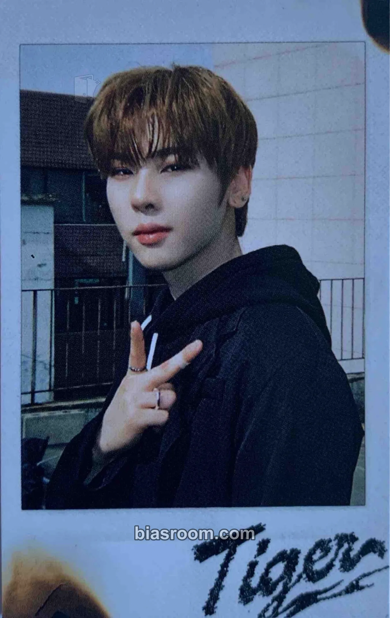 Eddie Tiger Photocard - n.SSign - n.SSign K-pop photocard