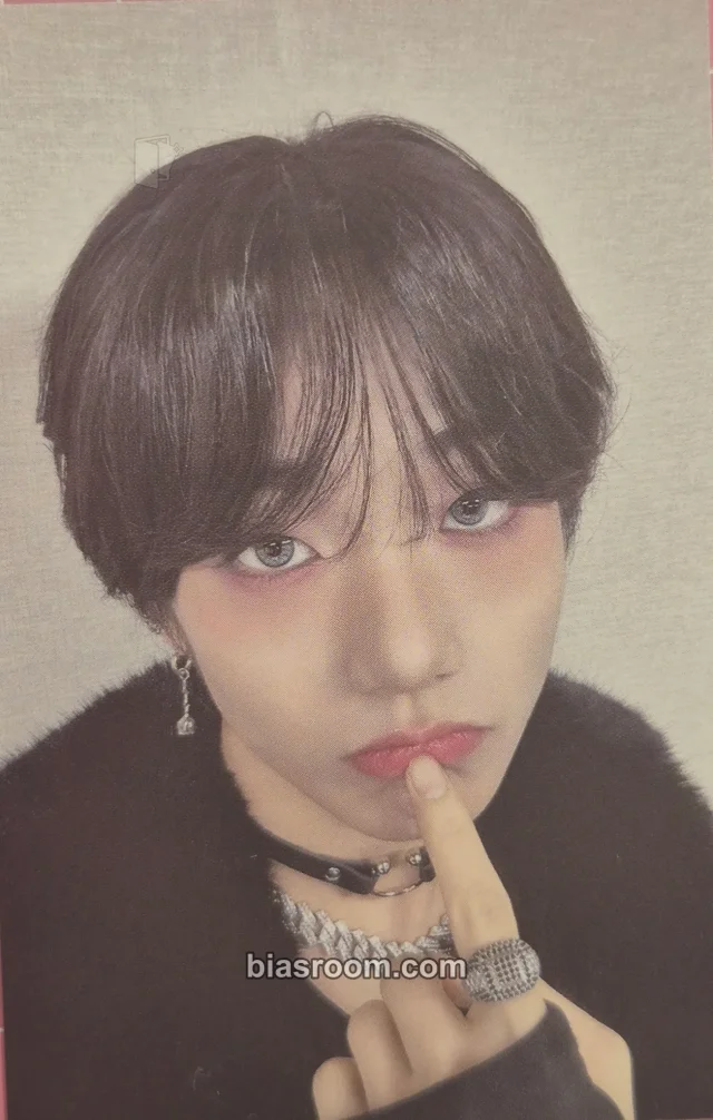 TRENDZ - Havit - CANVAS Album member version