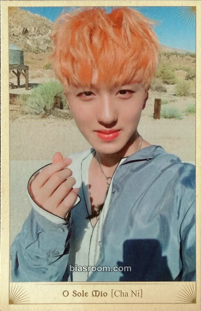 SF9 - Chani - Knights of the Sun Album album photocard
