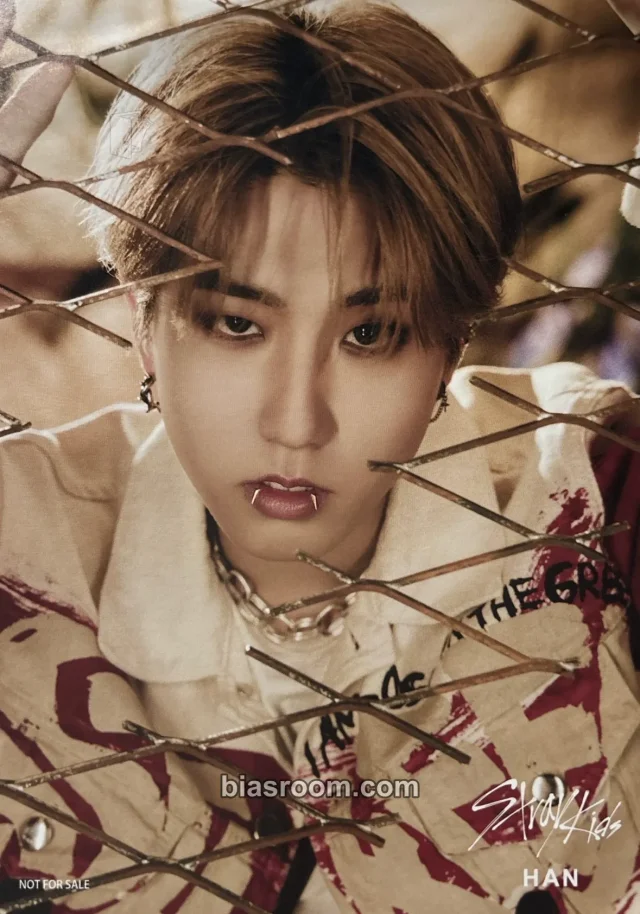 Stray Kids - HAN - Scars Album flyer tower records japan shibuya purchase benefit