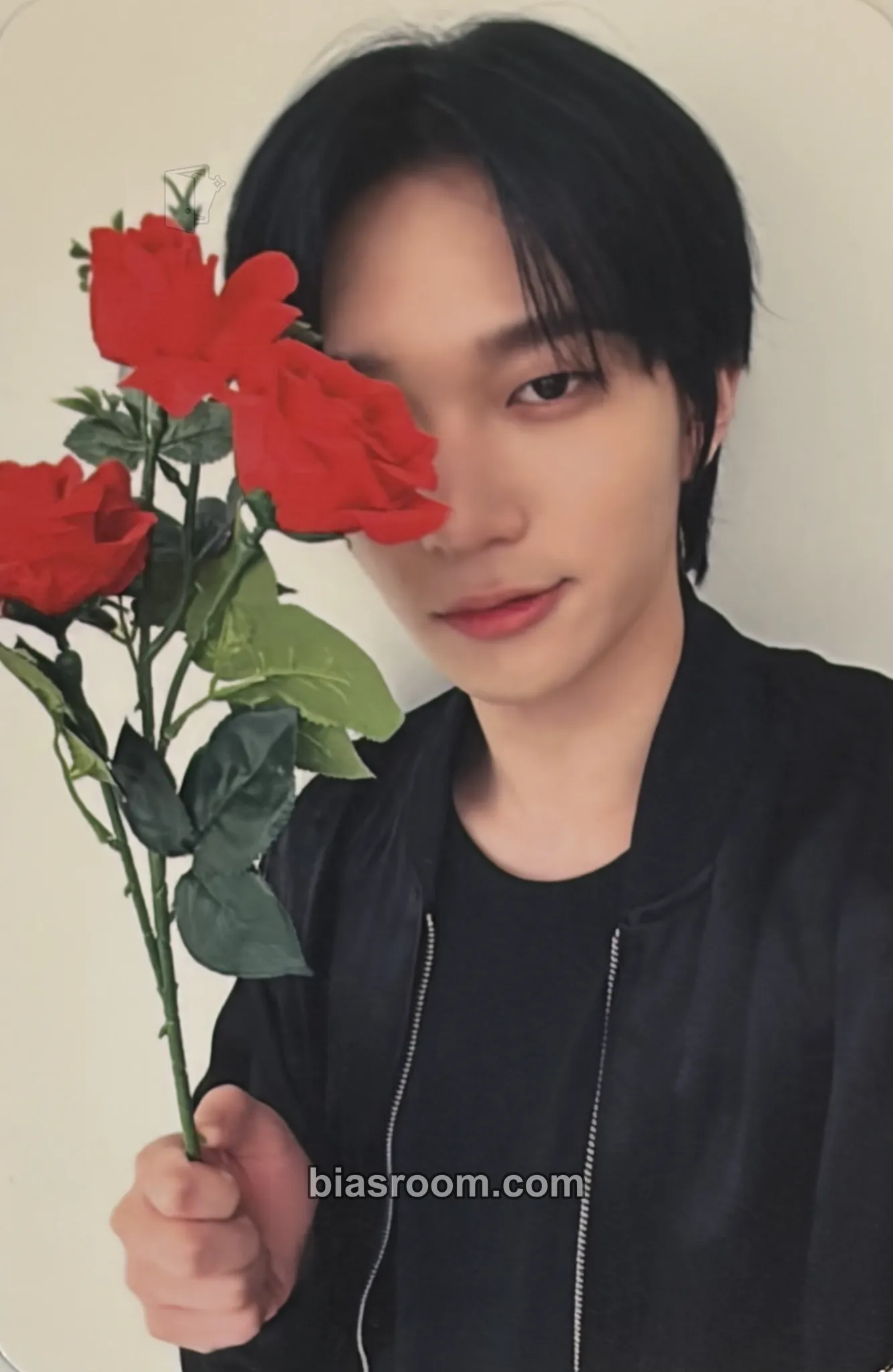 Theo Harmony: All In Photocard - P1Harmony - P1Harmony K-pop photocard