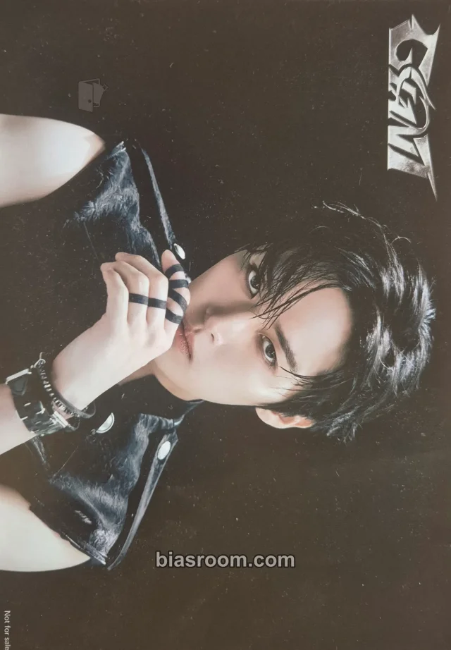 Stray Kids - Lee Know - GIANT Album flyer purchase benefit