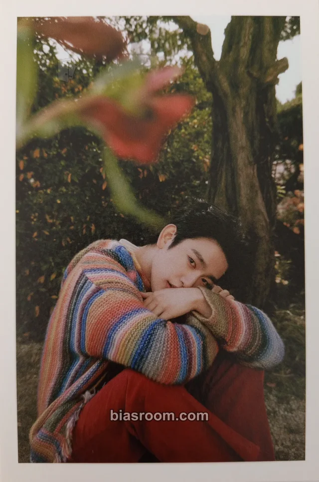 GOT7 - Jinyoung - Chapter 0: With (Jinyoung Solo) Album postcard album inclusion