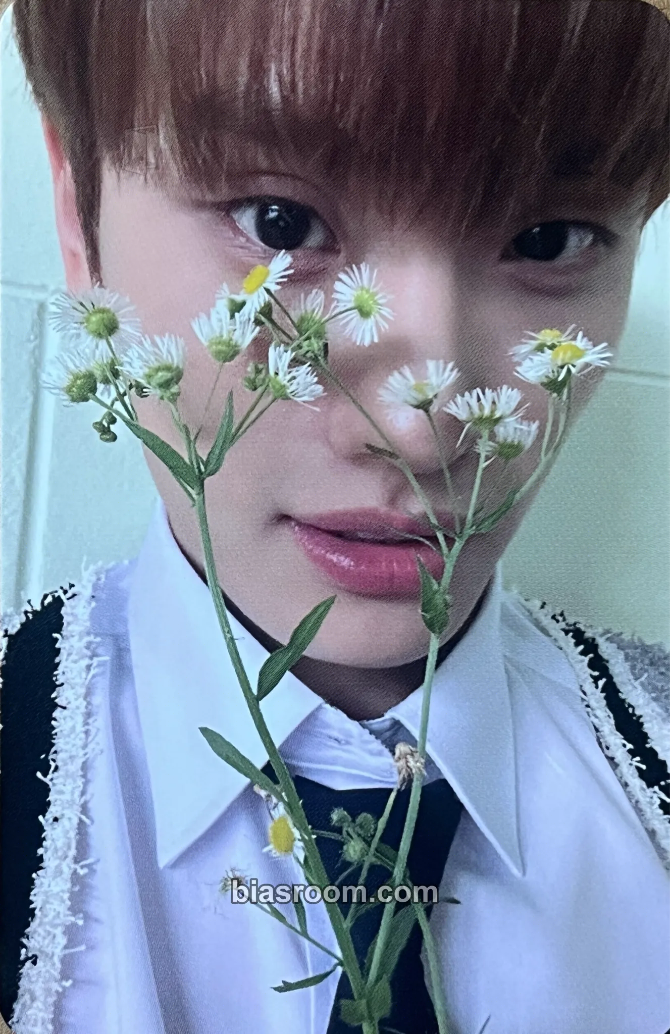 Kum Junhyeon Frame the Blueprint : Prelude to Possibilities Photocard - TIOT - TIOT K-pop photocard