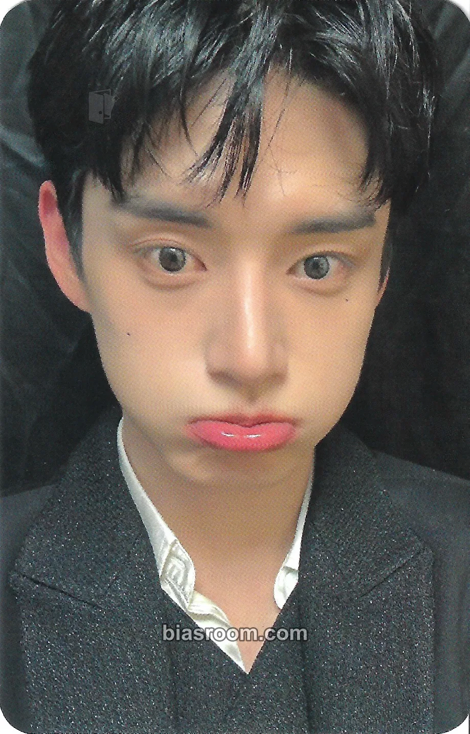 Jiwoong You Had Me at Hello Photocard - ZEROBASEONE - ZEROBASEONE K-pop photocard
