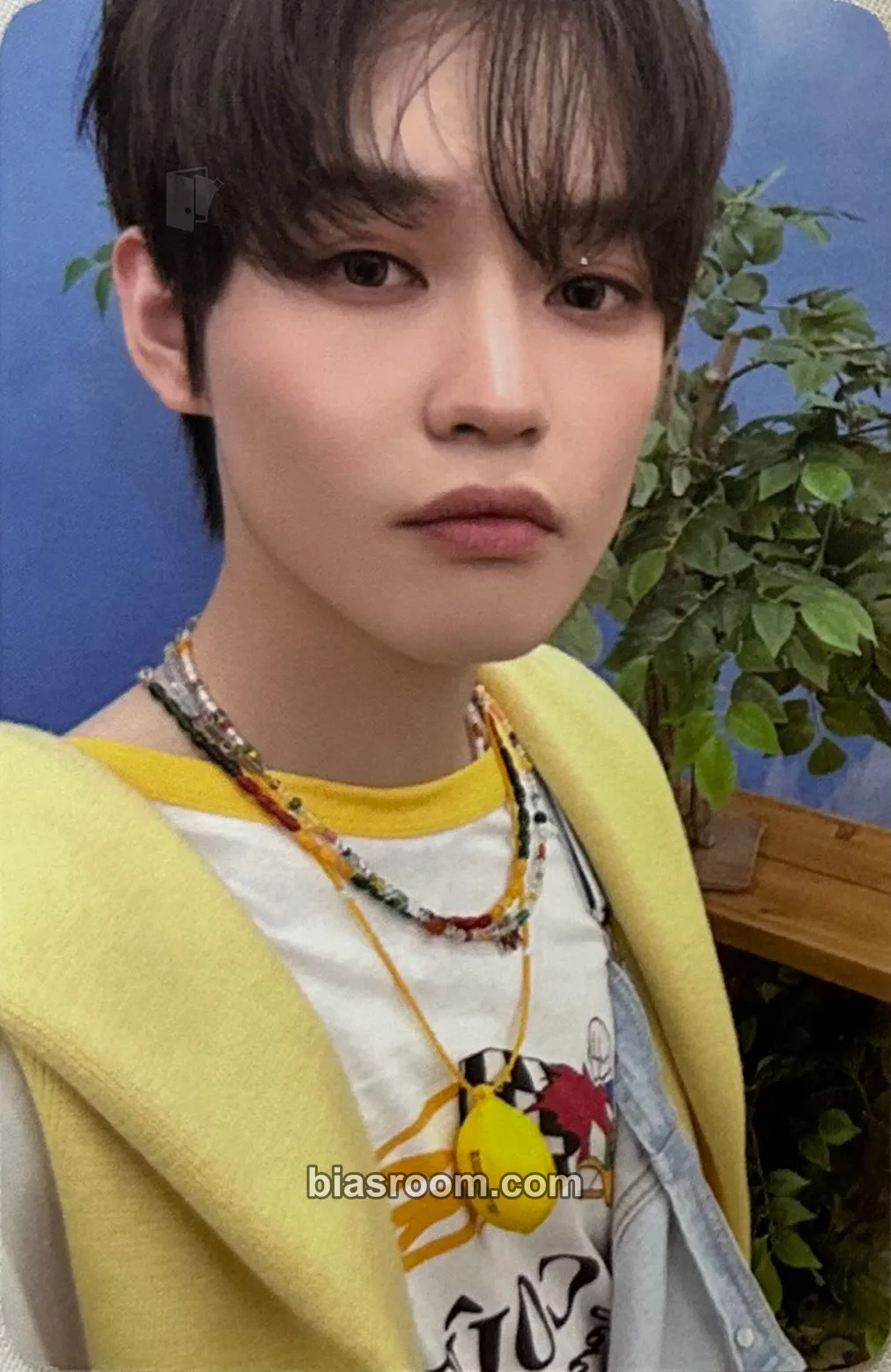 Chenle 2026 Season’s Greetings Photocard - NCT DREAM - NCT DREAM K-pop photocard