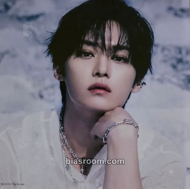 Stray Kids - Lee Know - GIANT Album square photo photo set double-sided album inclusion supplemental
