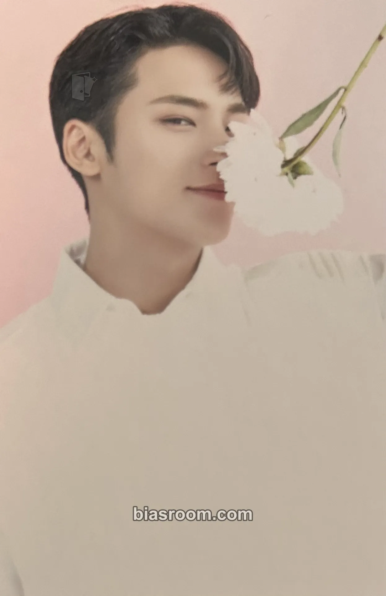 Mingyu SEVENTEEN CAFE IN SEOUL Photocard - SEVENTEEN - SEVENTEEN K-pop photocard