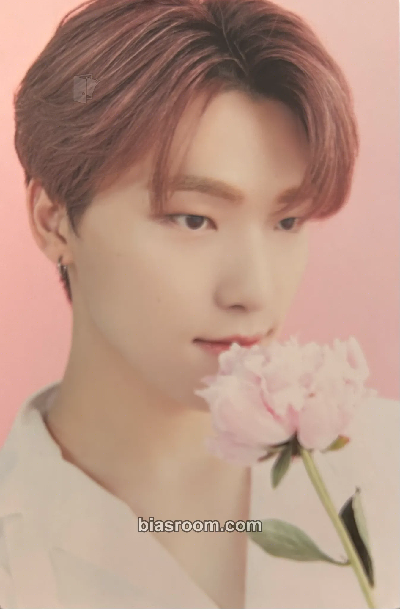 Dino SEVENTEEN CAFE IN SEOUL Photocard - SEVENTEEN - SEVENTEEN K-pop photocard