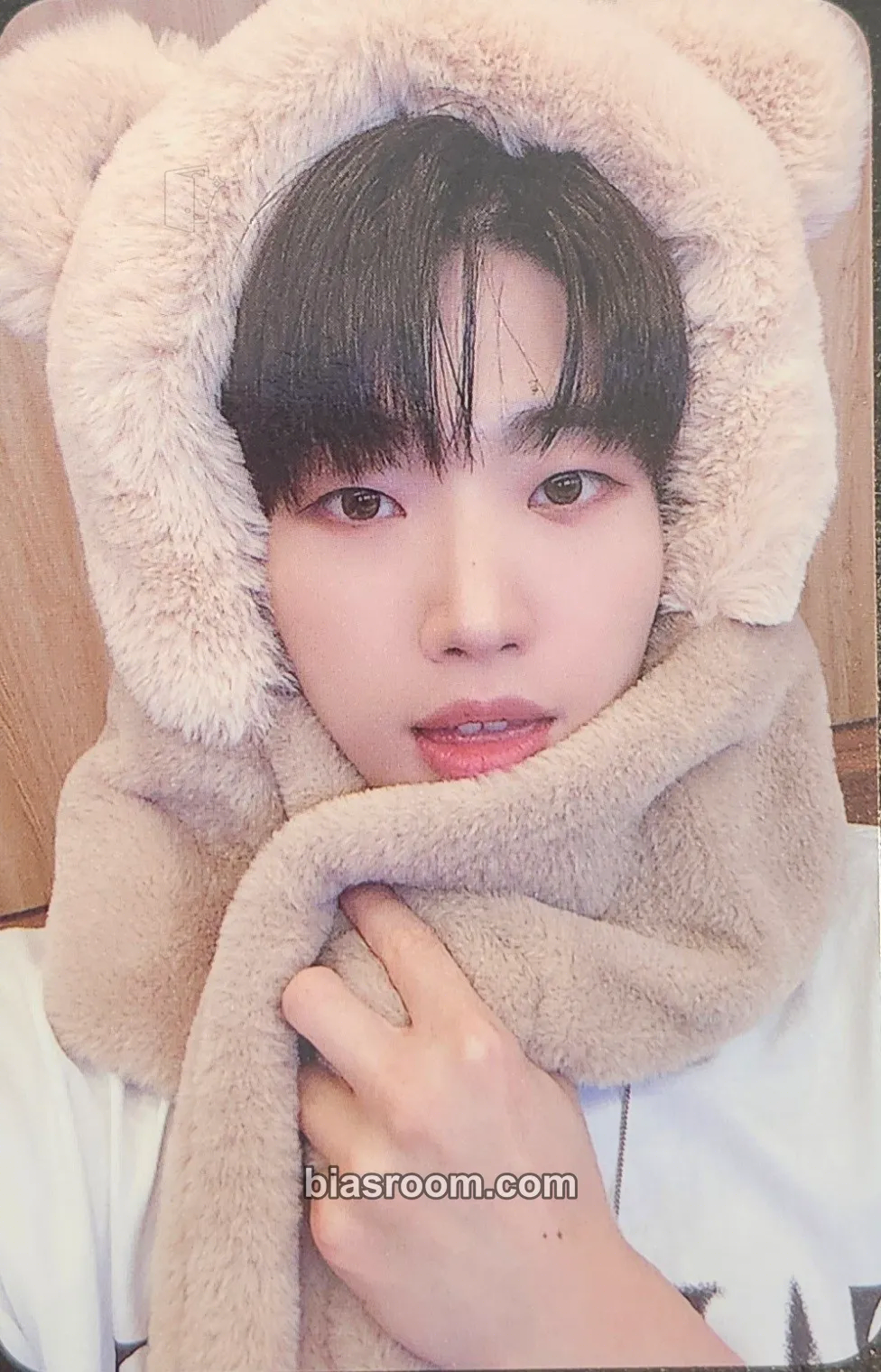 Dann Realize Photocard - The KingDom - The KingDom K-pop photocard