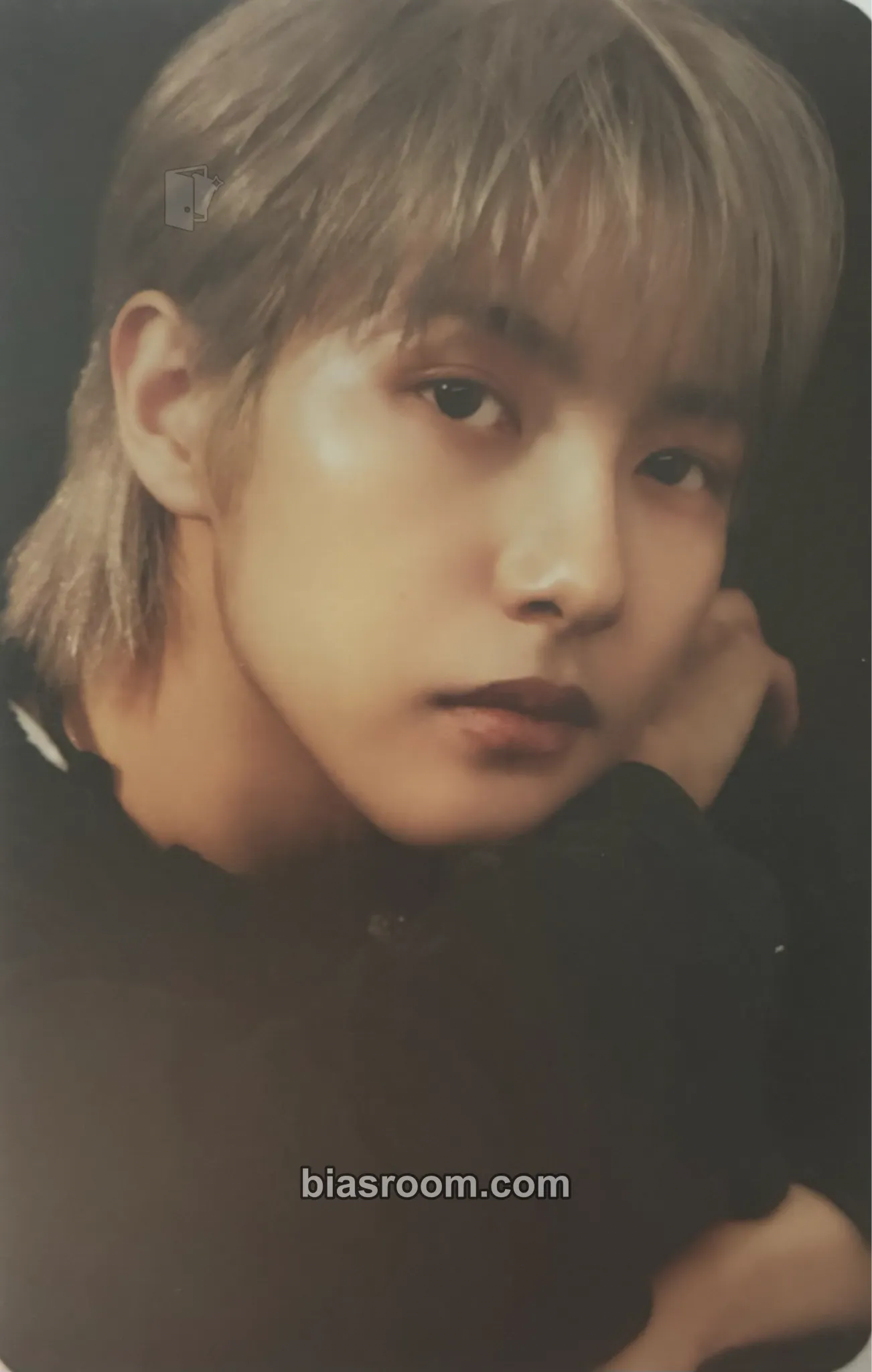 Renjun 2024 Season’s Greetings Photocard - NCT DREAM - NCT DREAM K-pop photocard