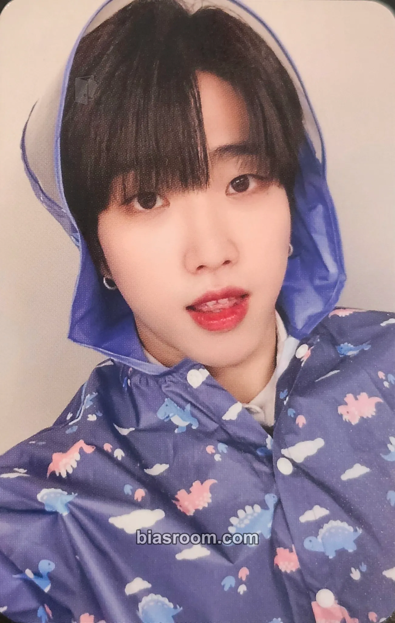 Dann History of Kingdom : PartⅥ. Mujin Photocard - The KingDom - The KingDom K-pop photocard