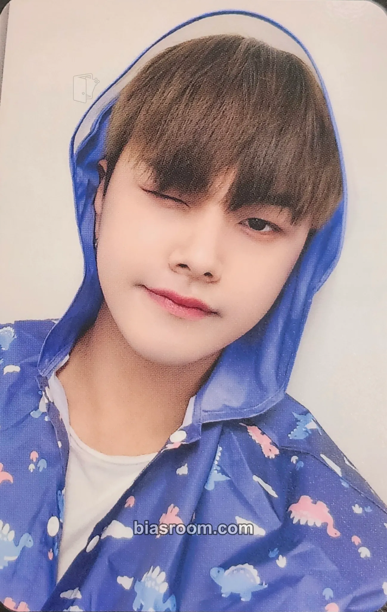 Jahan History of Kingdom : PartⅥ. Mujin Photocard - The KingDom - The KingDom K-pop photocard