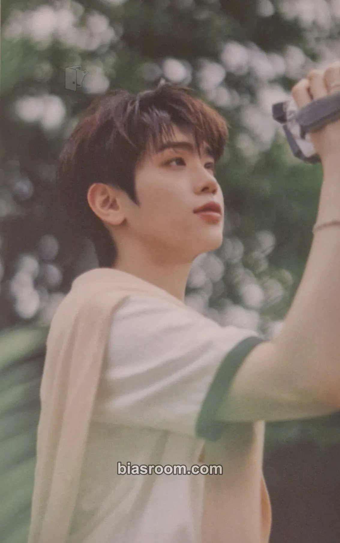 Taerae Cinema Paradise Photocard - ZEROBASEONE - ZEROBASEONE K-pop photocard