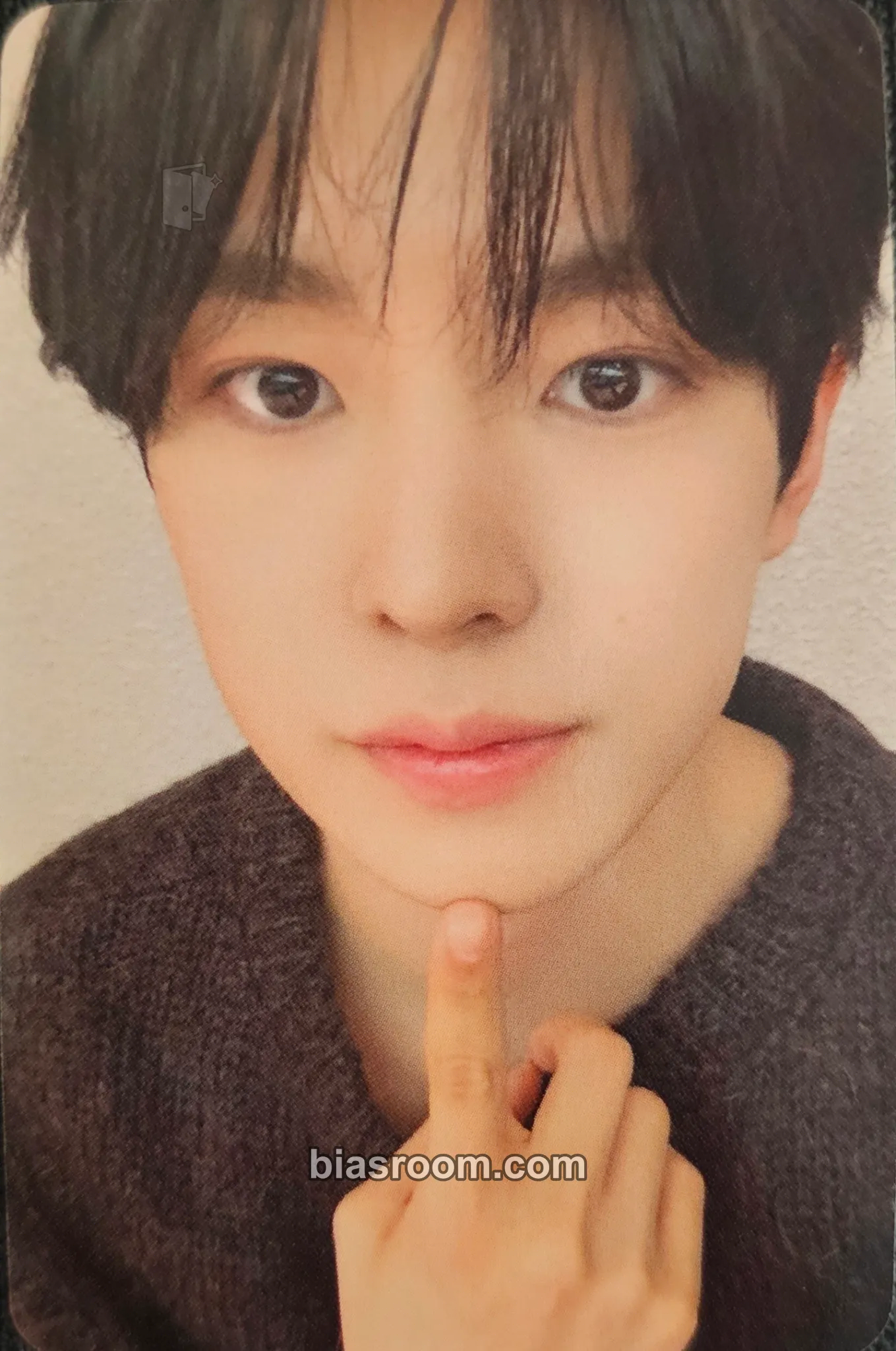 Yushi Steady Photocard - NCT WISH - NCT WISH K-pop photocard