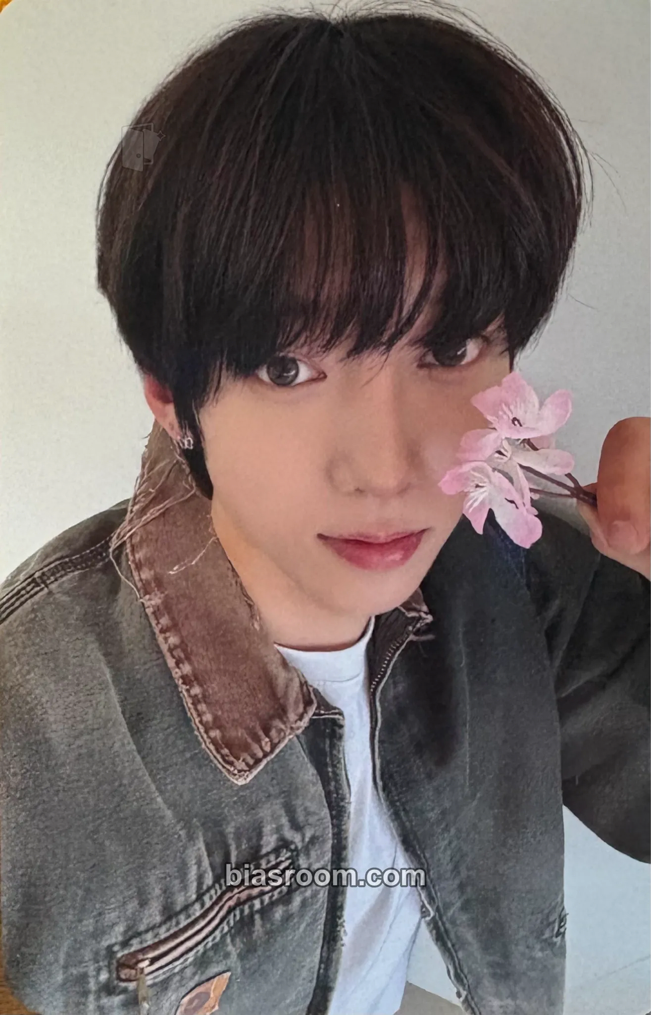 Kamden WILD & FREE Photocard - AMPERS&ONE - AMPERS&ONE K-pop photocard
