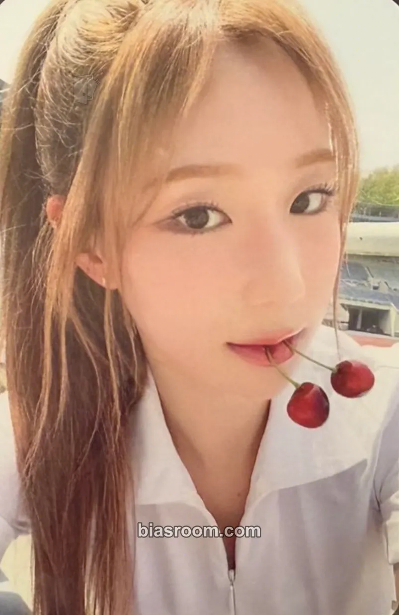 Dohee Sweetie but Saltie Photocard - cignature - cignature K-pop photocard