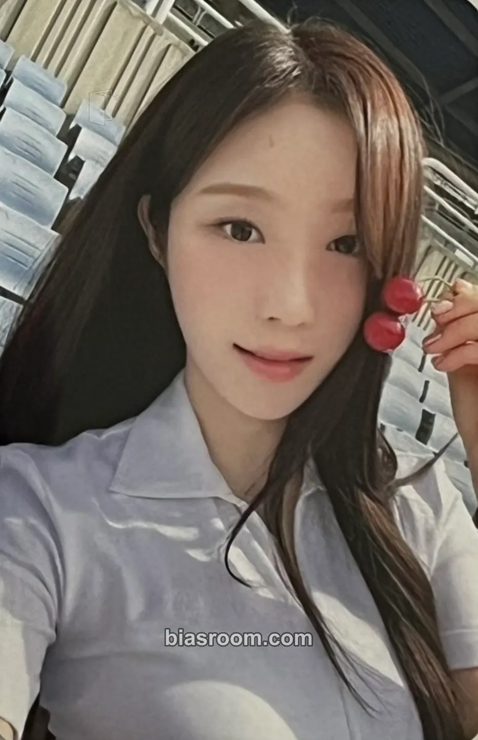 Chaesol Sweetie but Saltie Photocard - cignature - cignature K-pop photocard