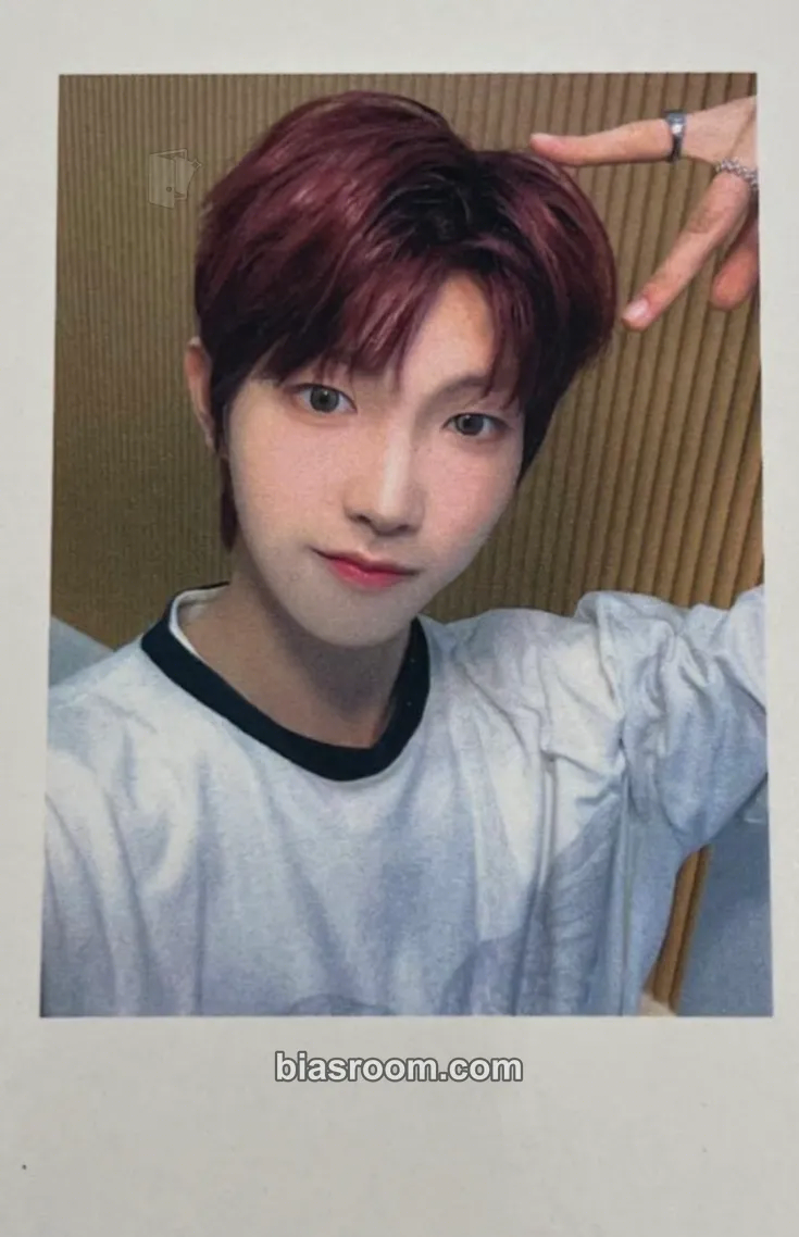 Choi GyeongBeen yesweare Photocard - idntt - idntt K-pop photocard