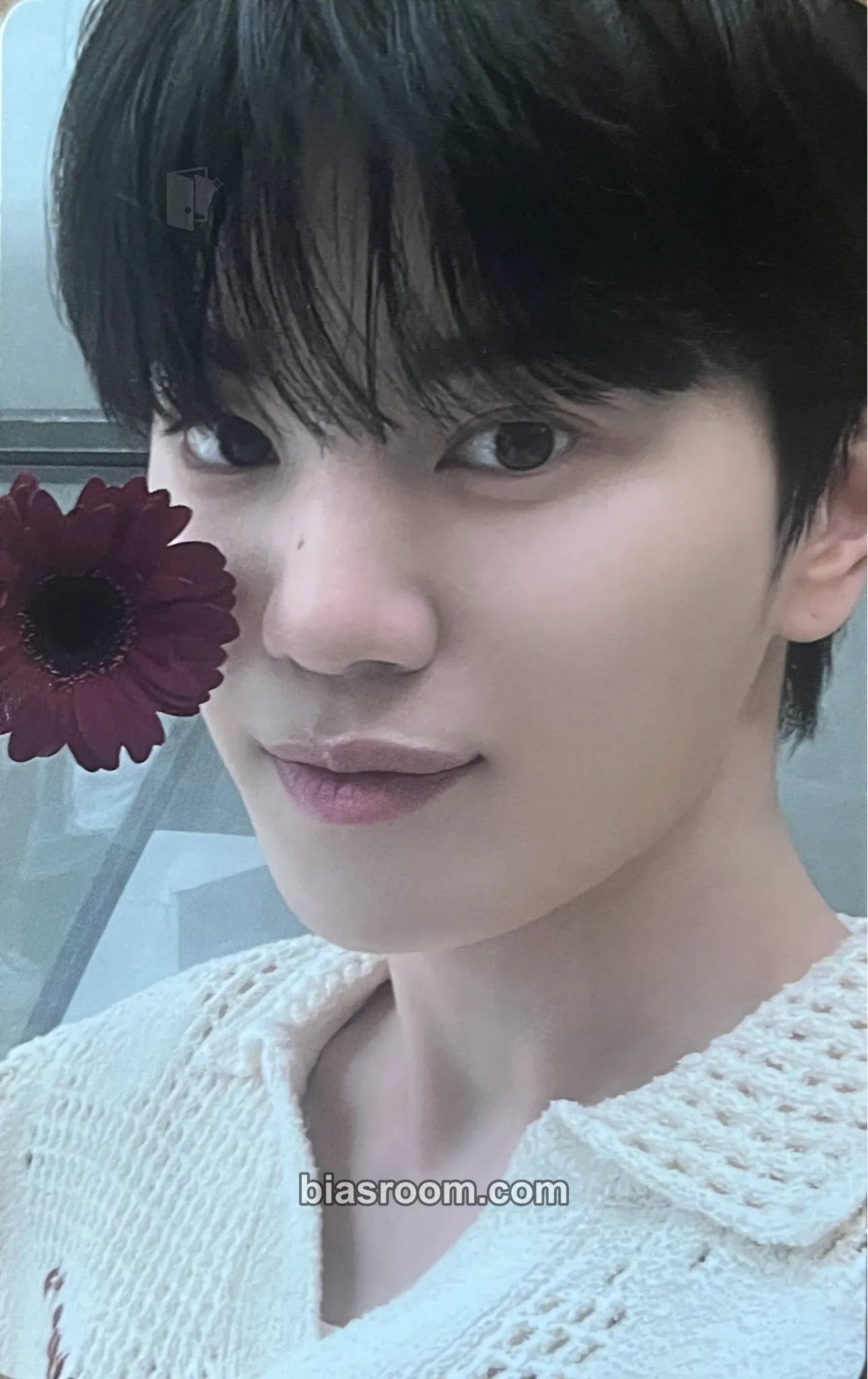 Sungjong 13egin Photocard - INFINITE - INFINITE K-pop photocard