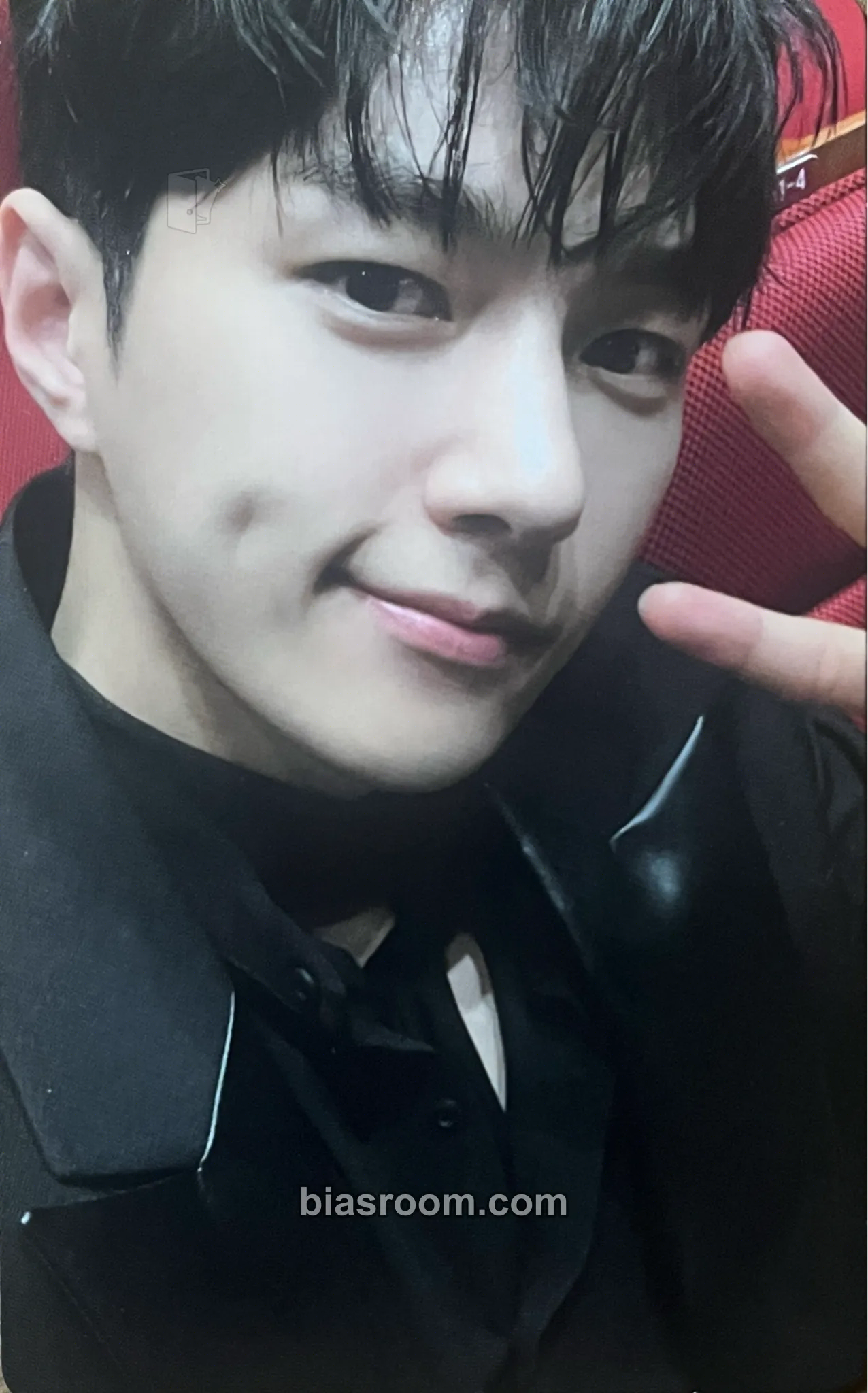 L / Myungsoo 13egin Photocard - INFINITE - INFINITE K-pop photocard