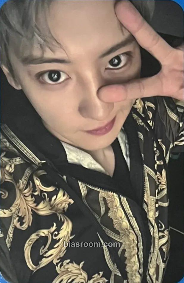 Chanyeol Baby Don’t Cry Photocard - EXO - EXO K-pop photocard
