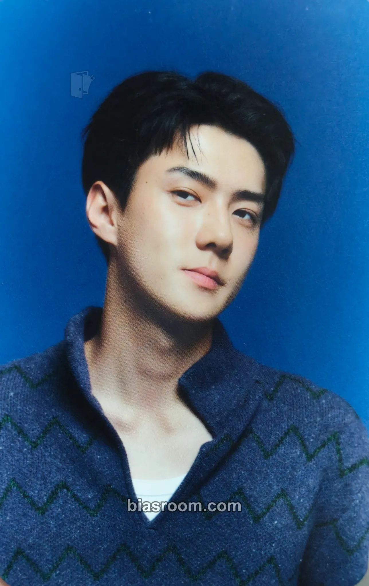 Sehun 2023 EXO Season's Greetings Photocard - EXO - EXO K-pop photocard