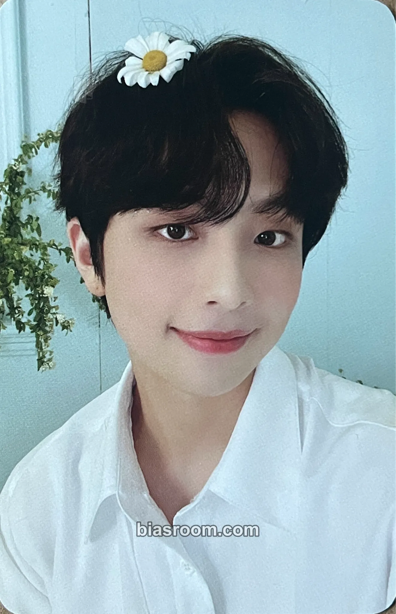 Sihun THE INTERSECTION: DISCOVERY Photocard - BDC - BDC K-pop photocard